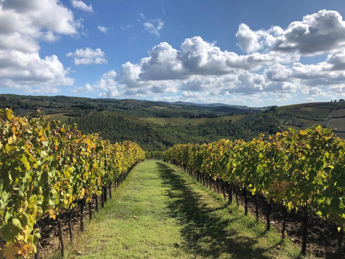 Fattoria Di Rignana Winery Bnb Greve in Chianti Buitenkant foto