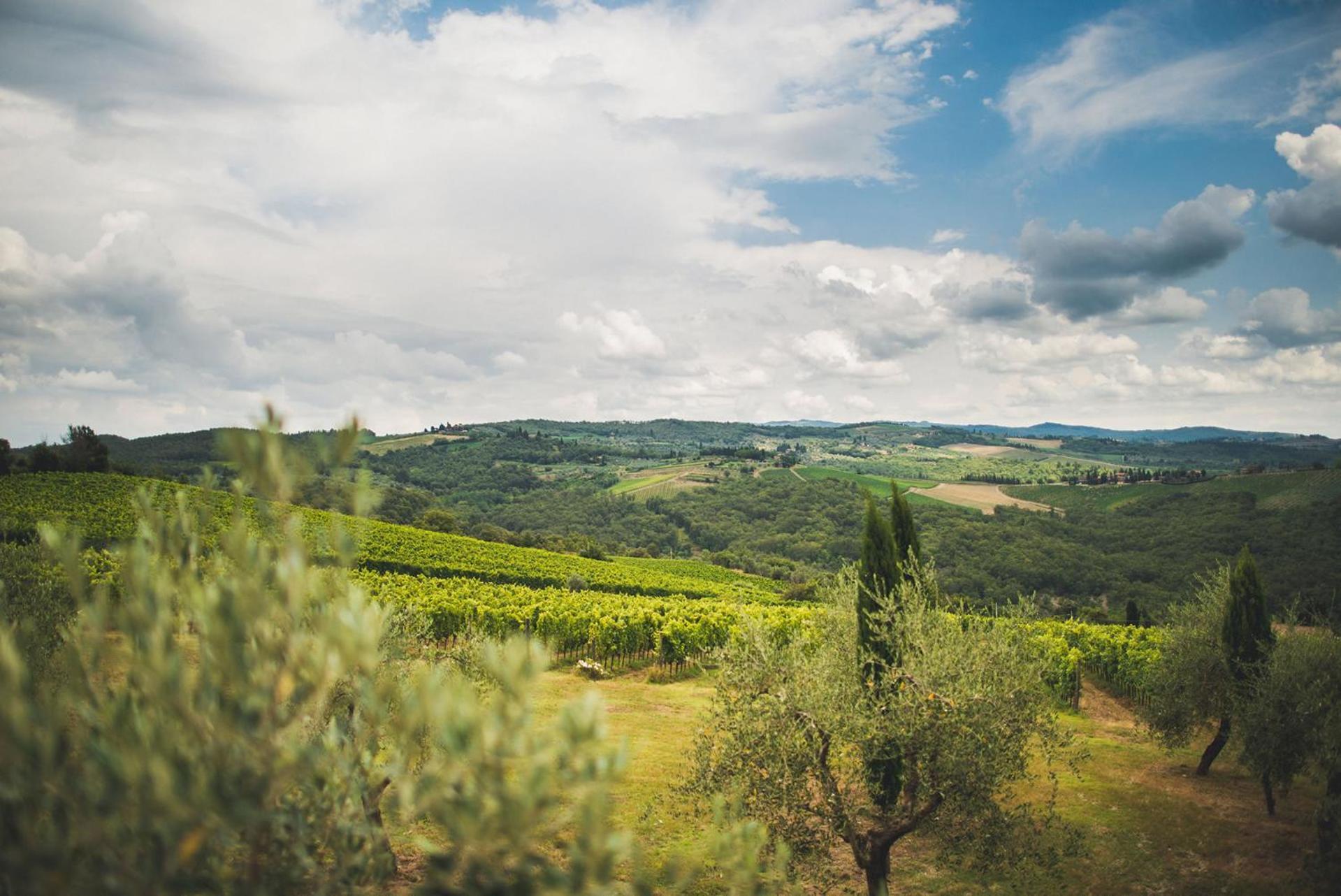 Fattoria Di Rignana Winery Bnb Greve in Chianti Buitenkant foto